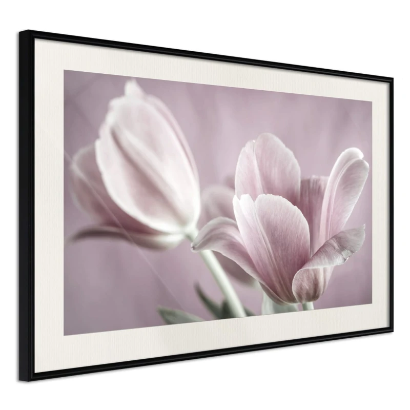 Plakat - Pastelowe tulipany I