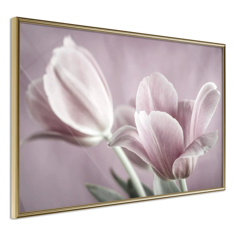Plakat - Pastelowe tulipany I