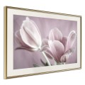 Plakat - Pastelowe tulipany I