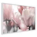 Plakat - Pastelowe tulipany II