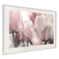Plakat - Pastelowe tulipany II