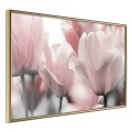 Plakat - Pastelowe tulipany II
