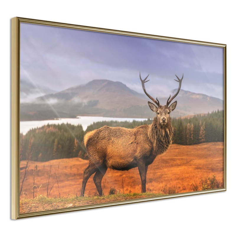 Plakat - Majestatyczny jeleń