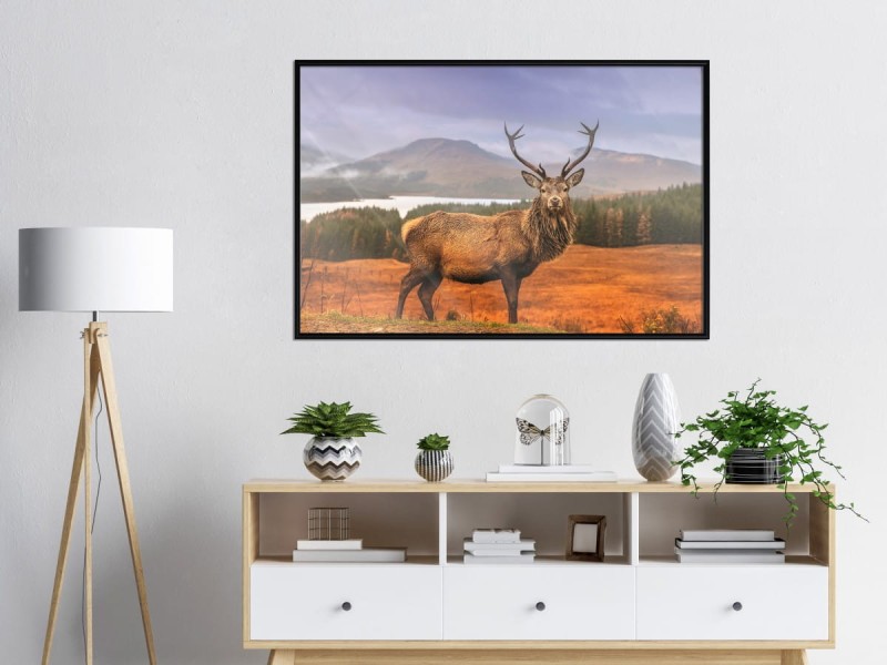 Plakat - Majestatyczny jeleń