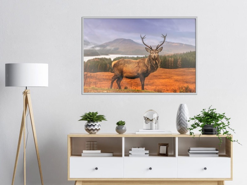 Plakat - Majestatyczny jeleń