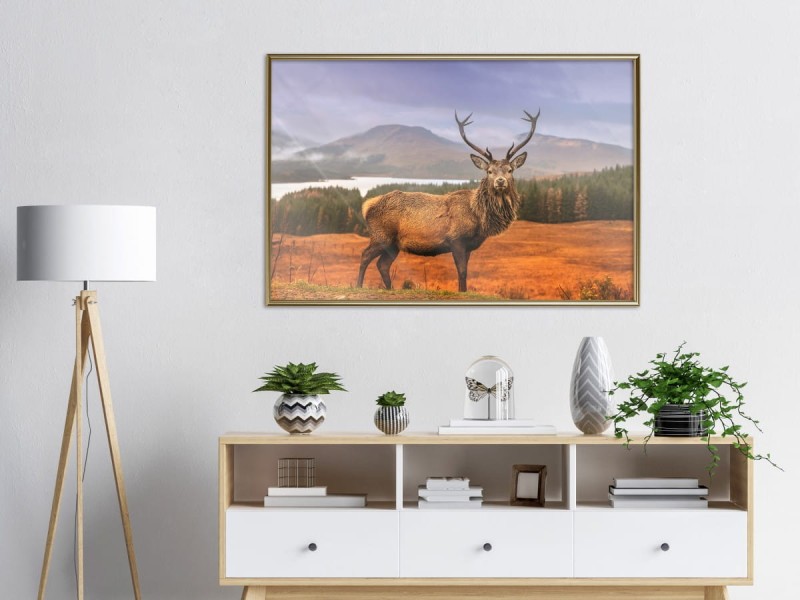Plakat - Majestatyczny jeleń