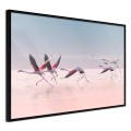 Plakat - Flamingi zrywają się do lotu