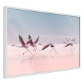 Plakat - Flamingi zrywają się do lotu