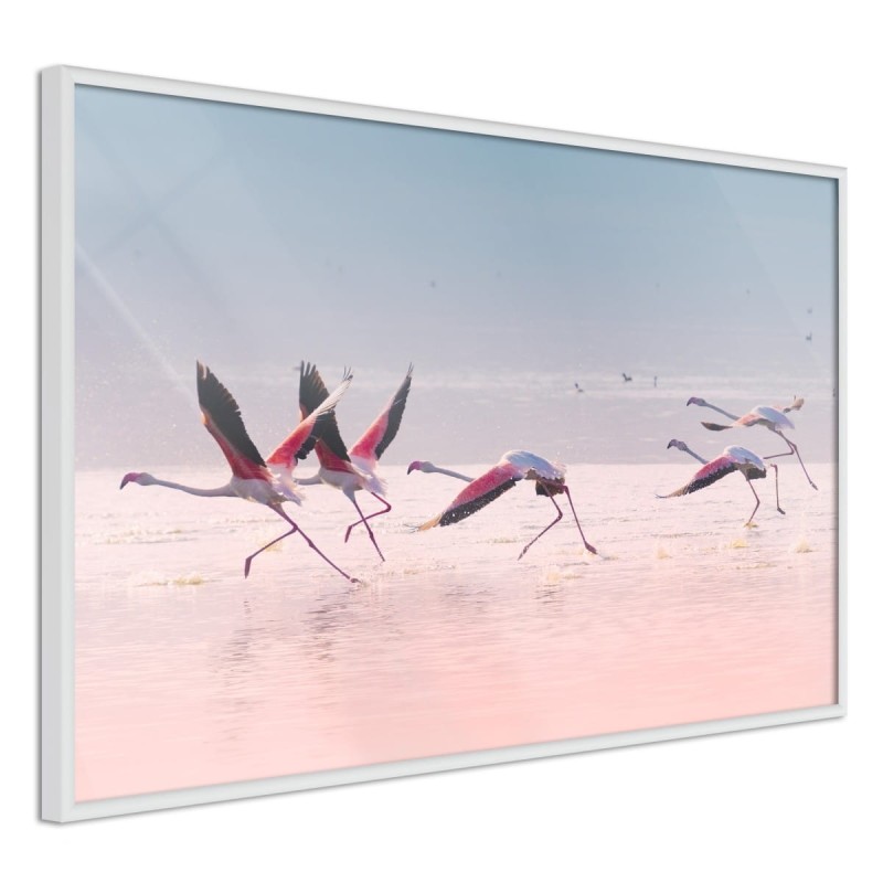 Plakat - Flamingi zrywają się do lotu