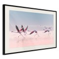 Plakat - Flamingi zrywają się do lotu