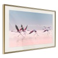 Plakat - Flamingi zrywają się do lotu
