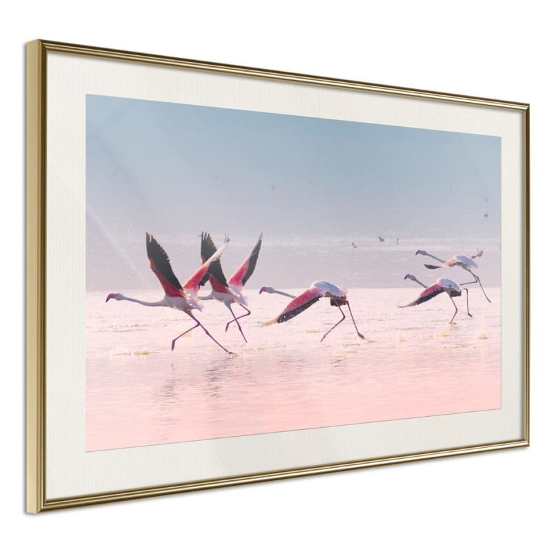 Plakat - Flamingi zrywają się do lotu