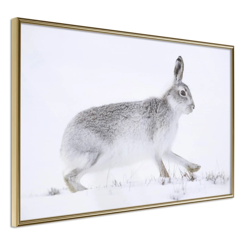 Plakat - Ucieczka w śniegu