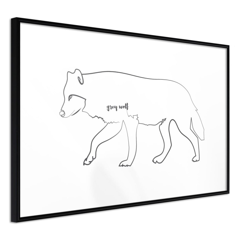 Plakat - Wilk szary
