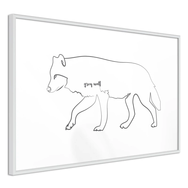 Plakat - Wilk szary