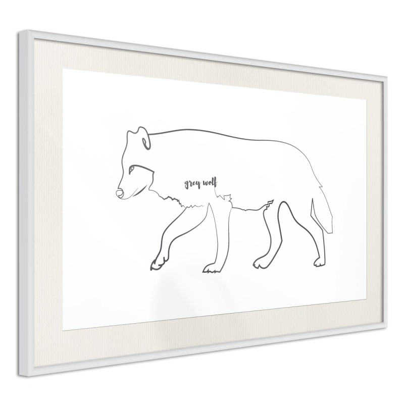 Plakat - Wilk szary