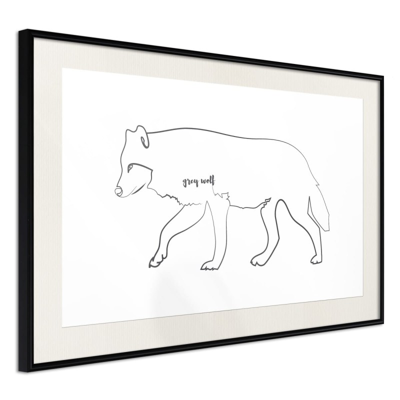 Plakat - Wilk szary
