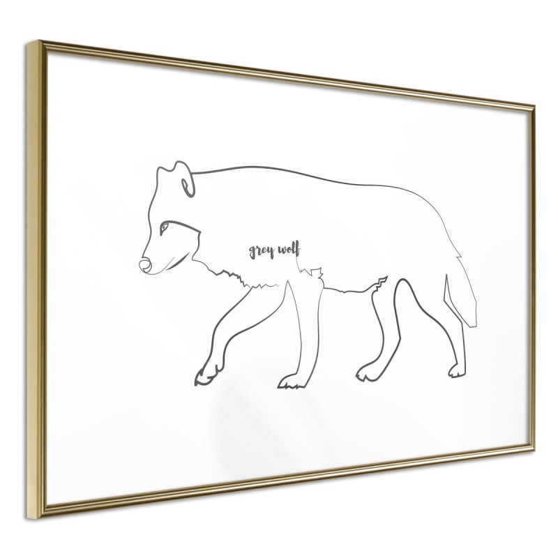 Plakat - Wilk szary