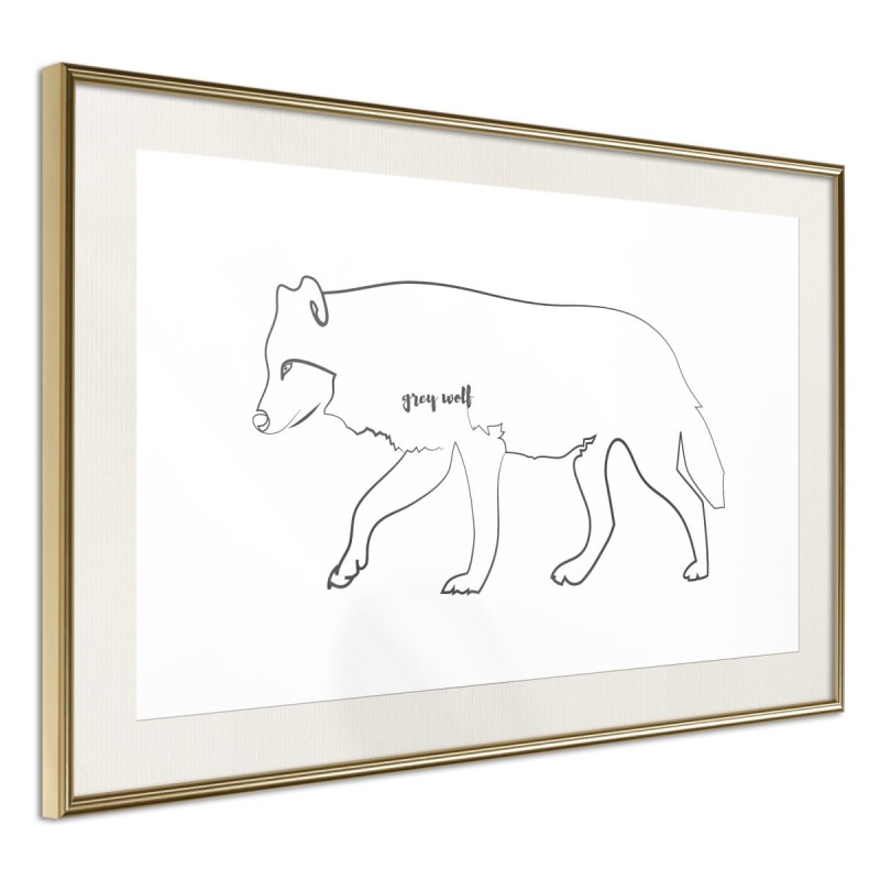 Plakat - Wilk szary