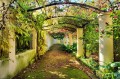 Fototapeta OGRÓD PERGOLA 136