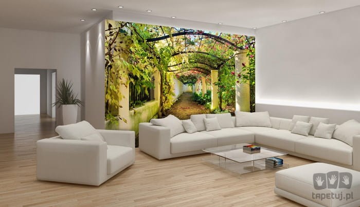Fototapeta ogród pergola