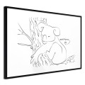 Plakat - Odpoczywający koala