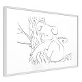 Plakat - Odpoczywający koala