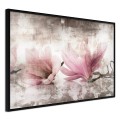 Plakat - Zerwane magnolie