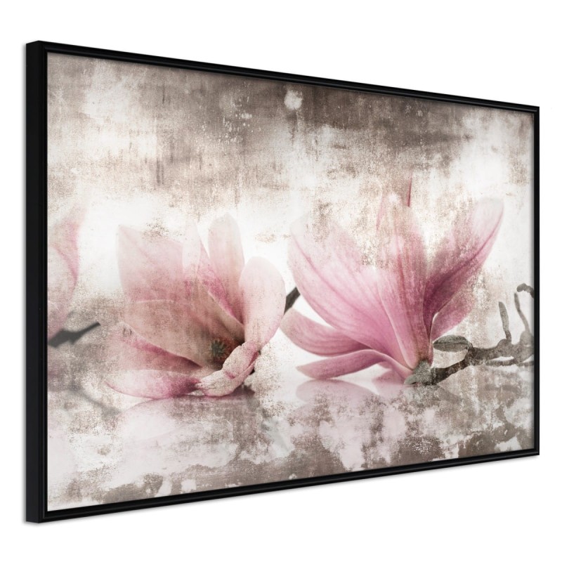 Plakat - Zerwane magnolie