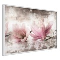 Plakat - Zerwane magnolie
