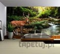 Fototapeta JELEŃ 147