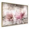 Plakat - Zerwane magnolie
