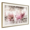 Plakat - Zerwane magnolie