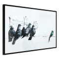 Plakat - Banksy: Pigeons