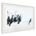 Plakat - Banksy: Pigeons