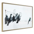 Plakat - Banksy: Pigeons