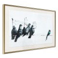 Plakat - Banksy: Pigeons