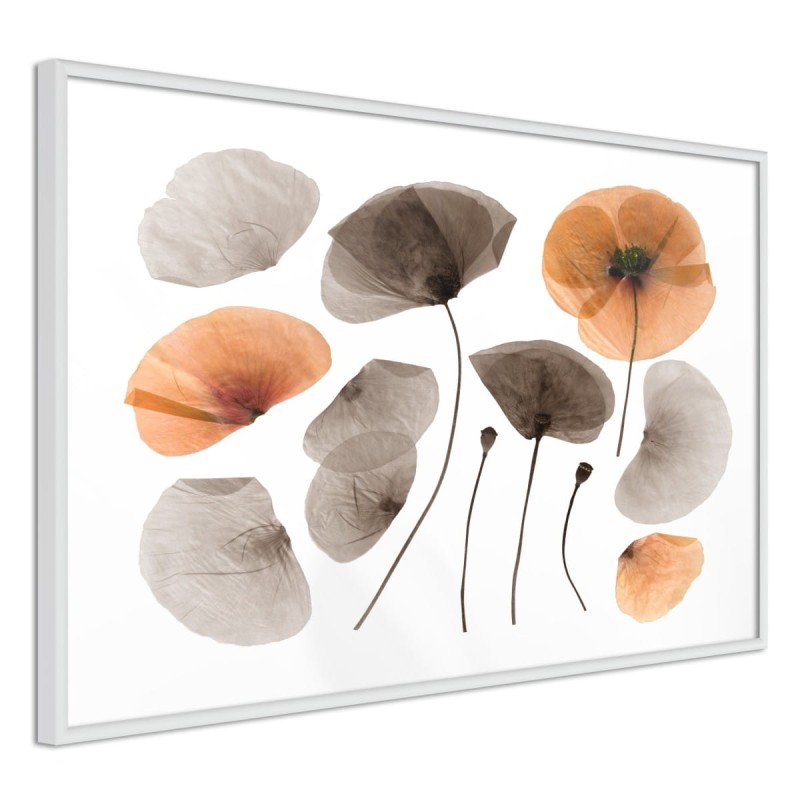 Plakat - Zasuszone maki