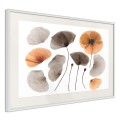 Plakat - Zasuszone maki
