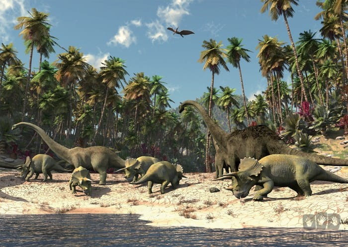 Fototapeta DINOZAURY 165