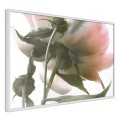 Plakat - Pod kwiatem