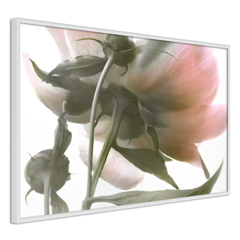Plakat - Pod kwiatem