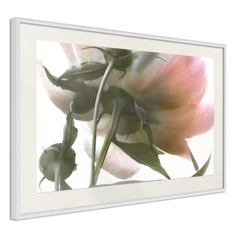 Plakat - Pod kwiatem