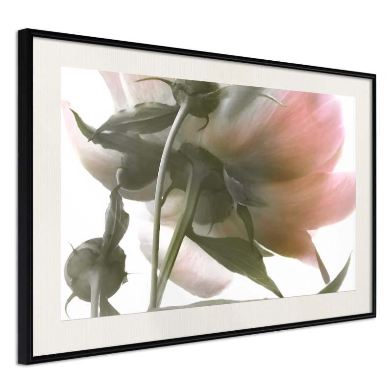 Plakat - Pod kwiatem
