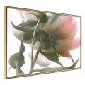 Plakat - Pod kwiatem