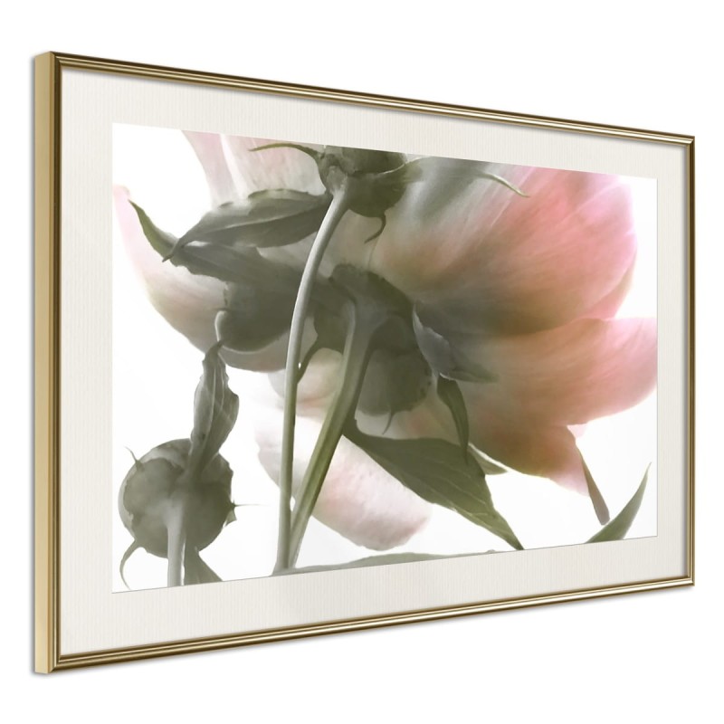 Plakat - Pod kwiatem
