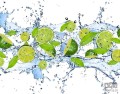 Fototapeta LIMONKI 288