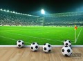 Fototapeta STADION 306