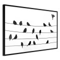Plakat - Posiedzenie ptasiej rady