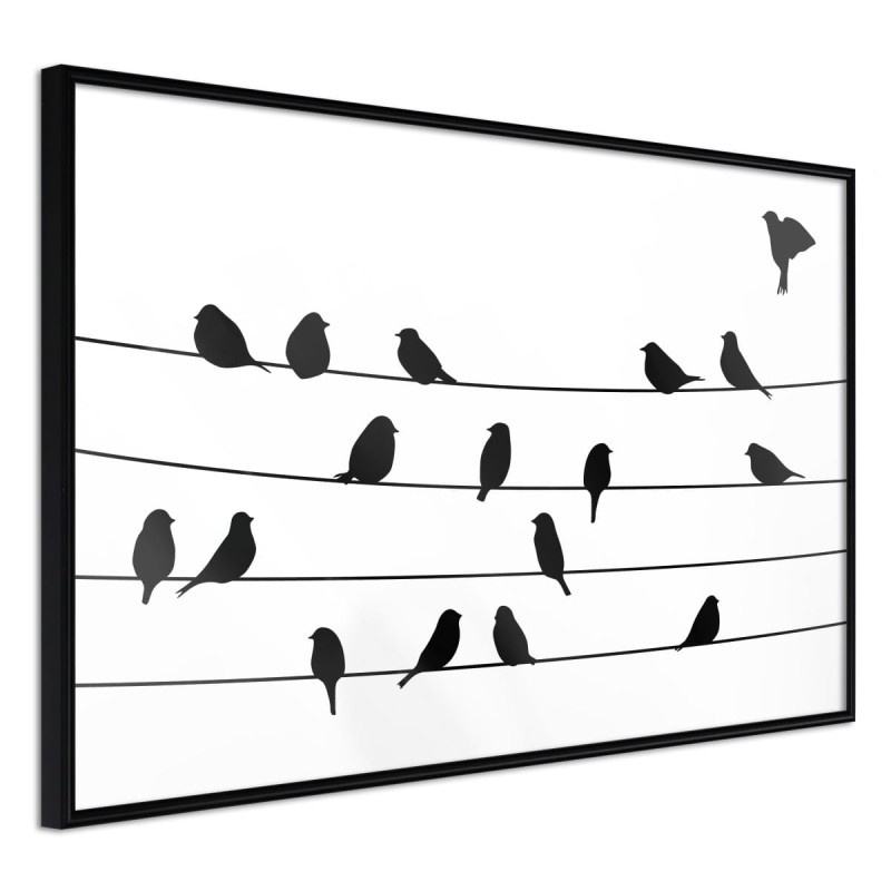 Plakat - Posiedzenie ptasiej rady